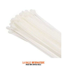 Lot 100 Colliers plastique 100x2,5mm blanc CableXpert