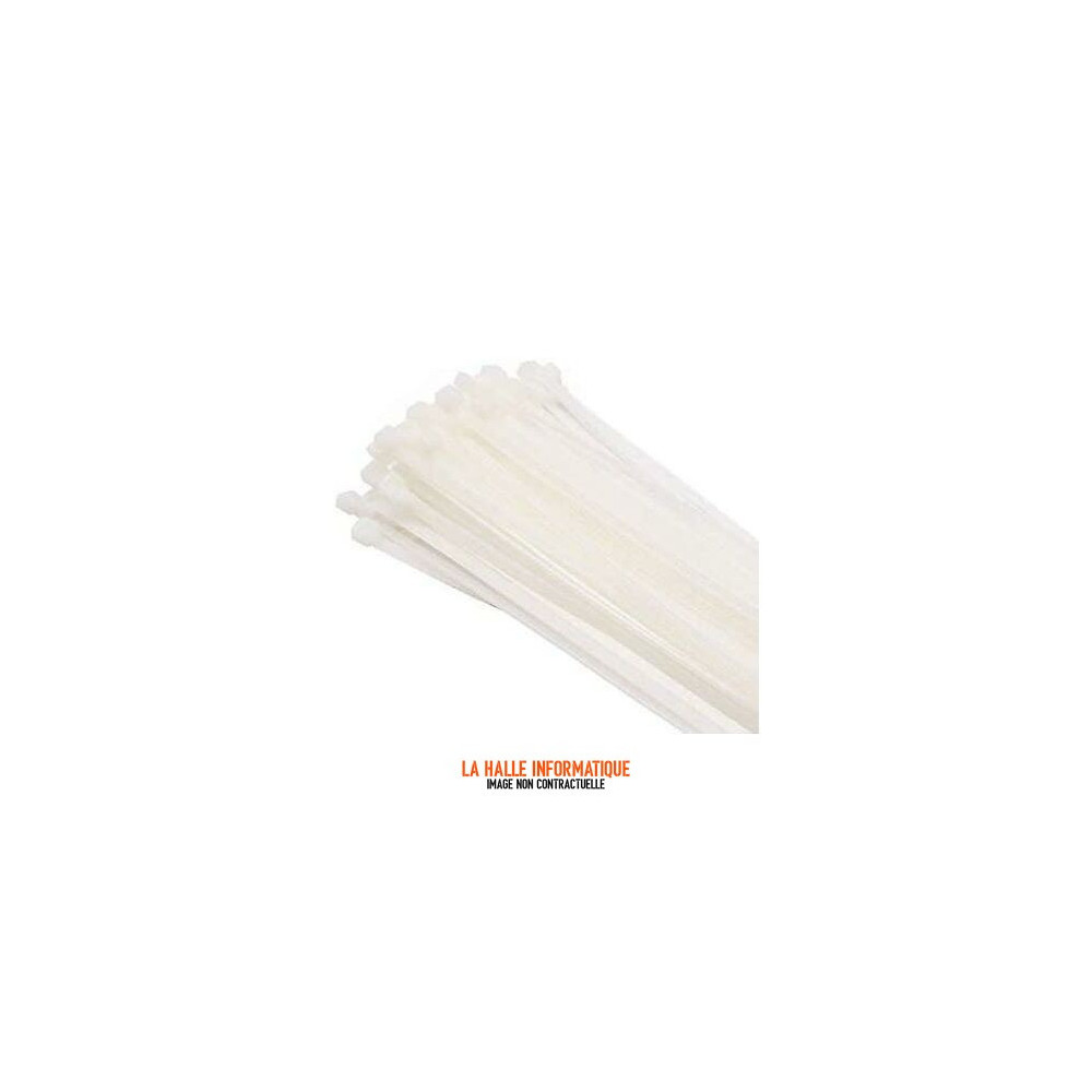 Lot 100 Colliers plastique 100x2,5mm blanc CableXpert