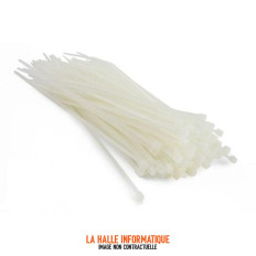 Lot 100 Colliers plastique 100x2,5mm blanc CableXpert