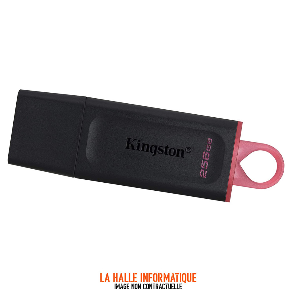 Clé USB 3.2 Kingston DataTraveler Exodia - 256Go (Rose/Noir)