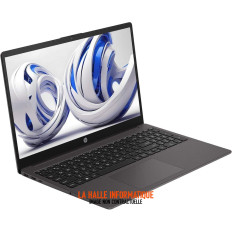 Ordinateur portable HP 255R G10 D0DQ4AT (15,6")