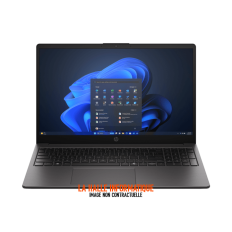 Ordinateur portable HP 255R G10 D0DQ3AT (15,6")
