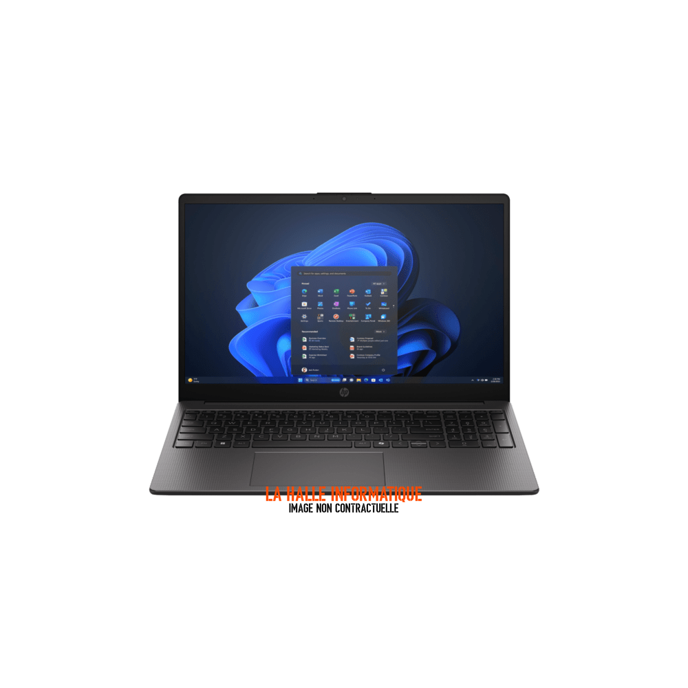 Ordinateur portable HP 255R G10 D0DQ3AT (15,6")