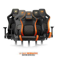Fauteuil Cougar Defensor (Gris)